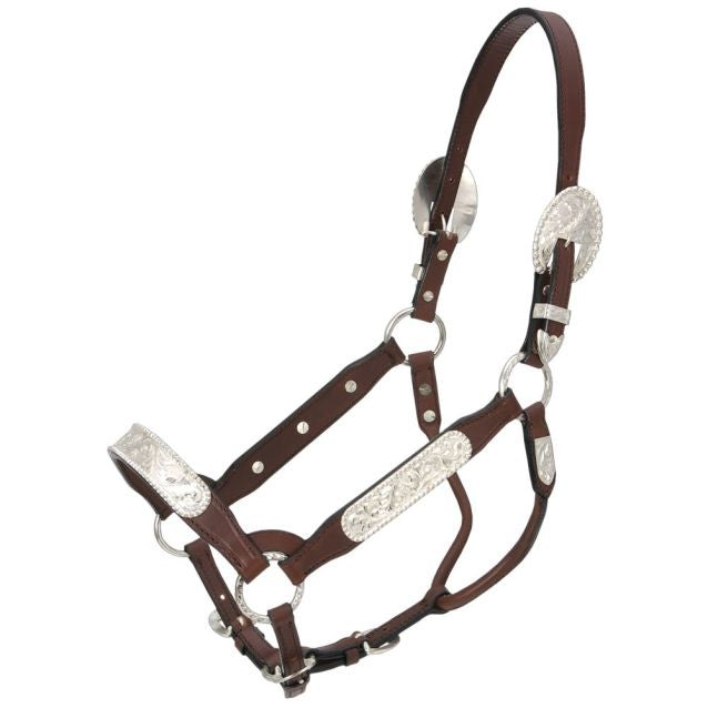 ROYAL KING DARK OIL CONGRESS CUT SHOW HALTER- FULL