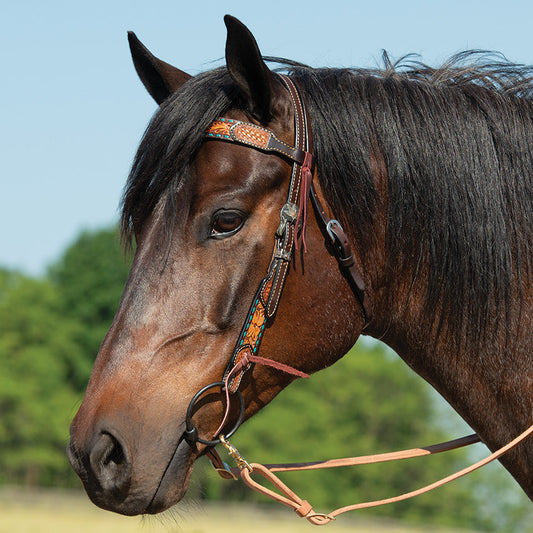 TURQUOISE CROSS FLORAL BUCKSTITCH BROWBAND HEADSTALL