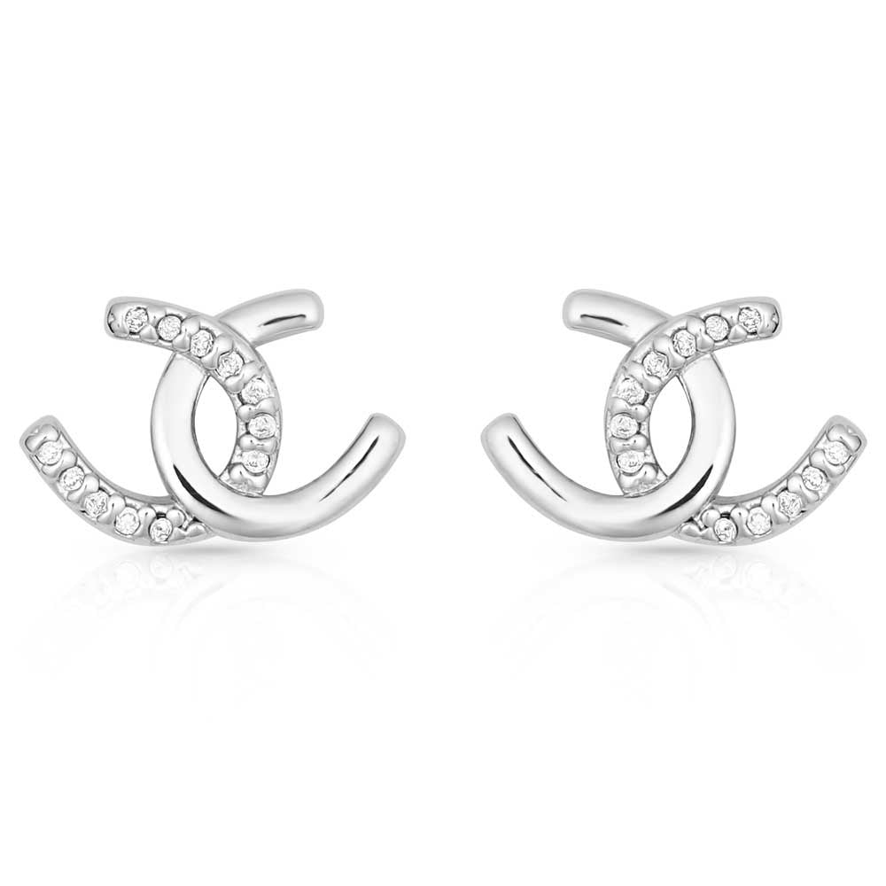 HORSESHOE HAPPINESS EARRINGS