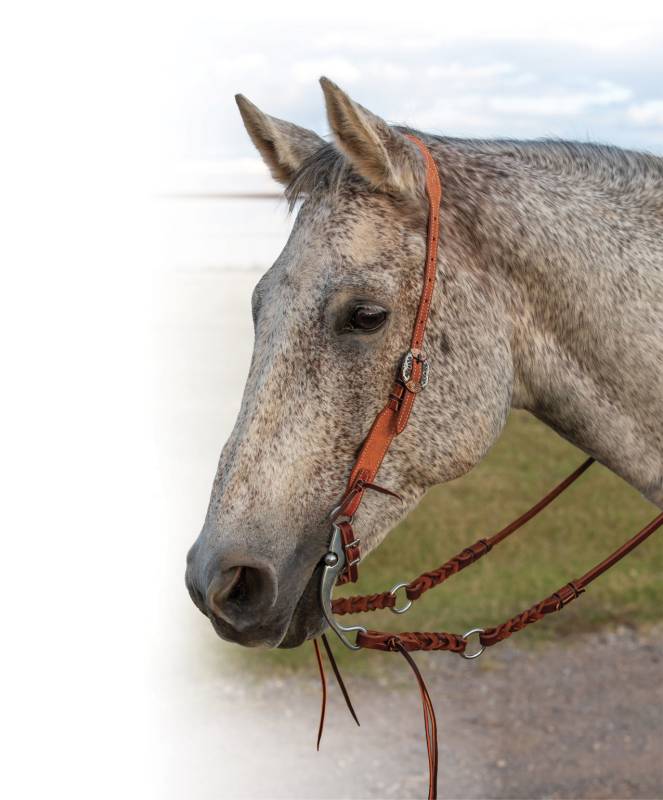 TAPERED NATURAL ROUGHTOUT GUNSLINGER SPLIT EAR HEADSTALL