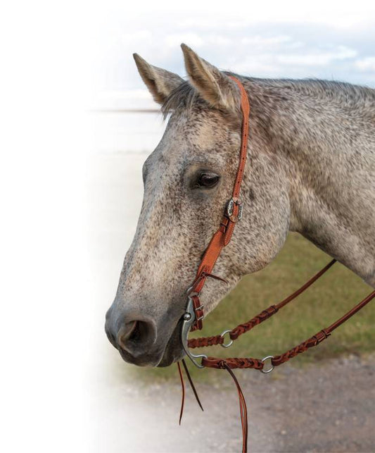 TAPERED NATURAL ROUGHTOUT GUNSLINGER SPLIT EAR HEADSTALL