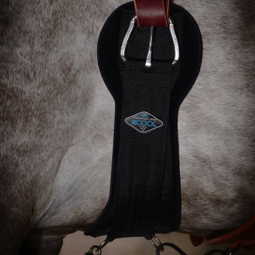 PROFESSIONALS CHOICE 2XCool CINCH