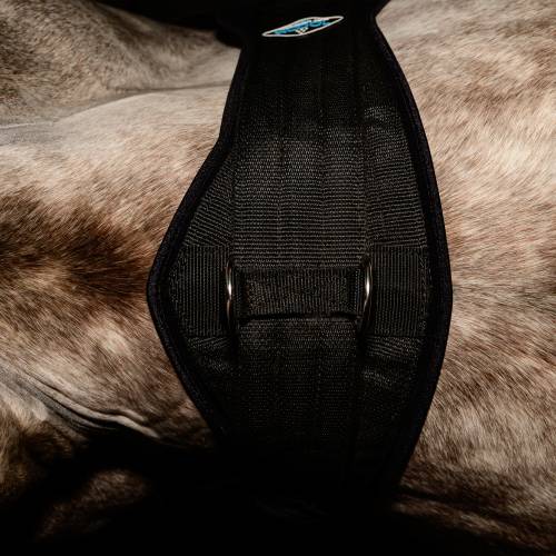 PROFESSIONALS CHOICE 2XCool CINCH