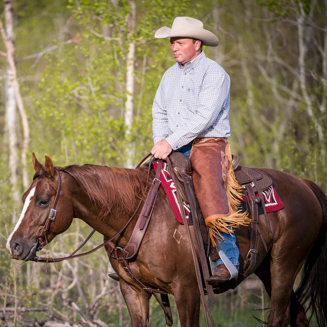 SINGLE JOINTED CURB WITH SWEET IRON