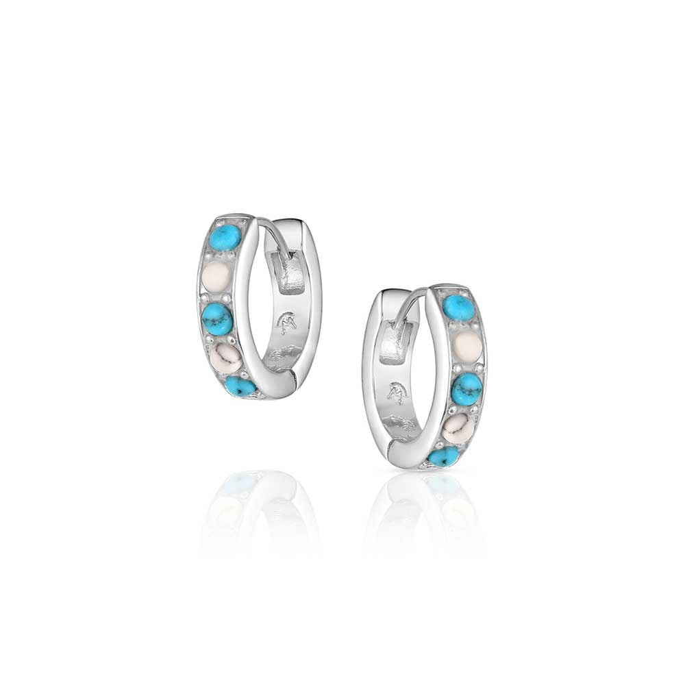 CIRCLE THE WEST EARRINGS