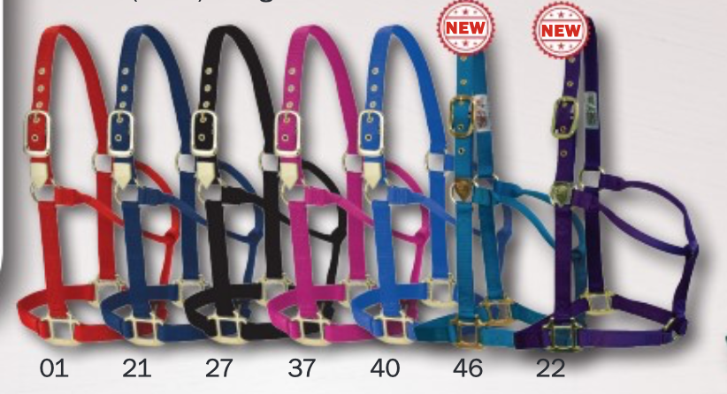 WESTERN RAWHIDE SIGNATURE CLASSIC HALTER