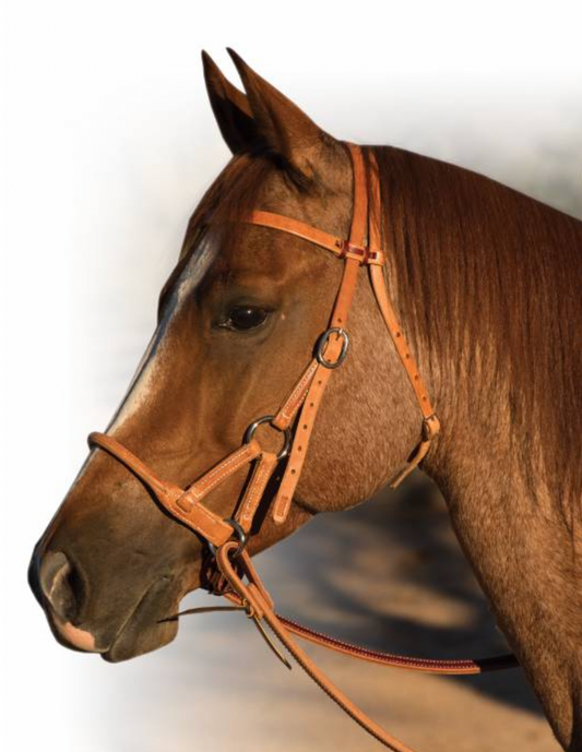 PROFESSIONAL'S CHOICE ROUND LEATHER NOSE SIDE PULL