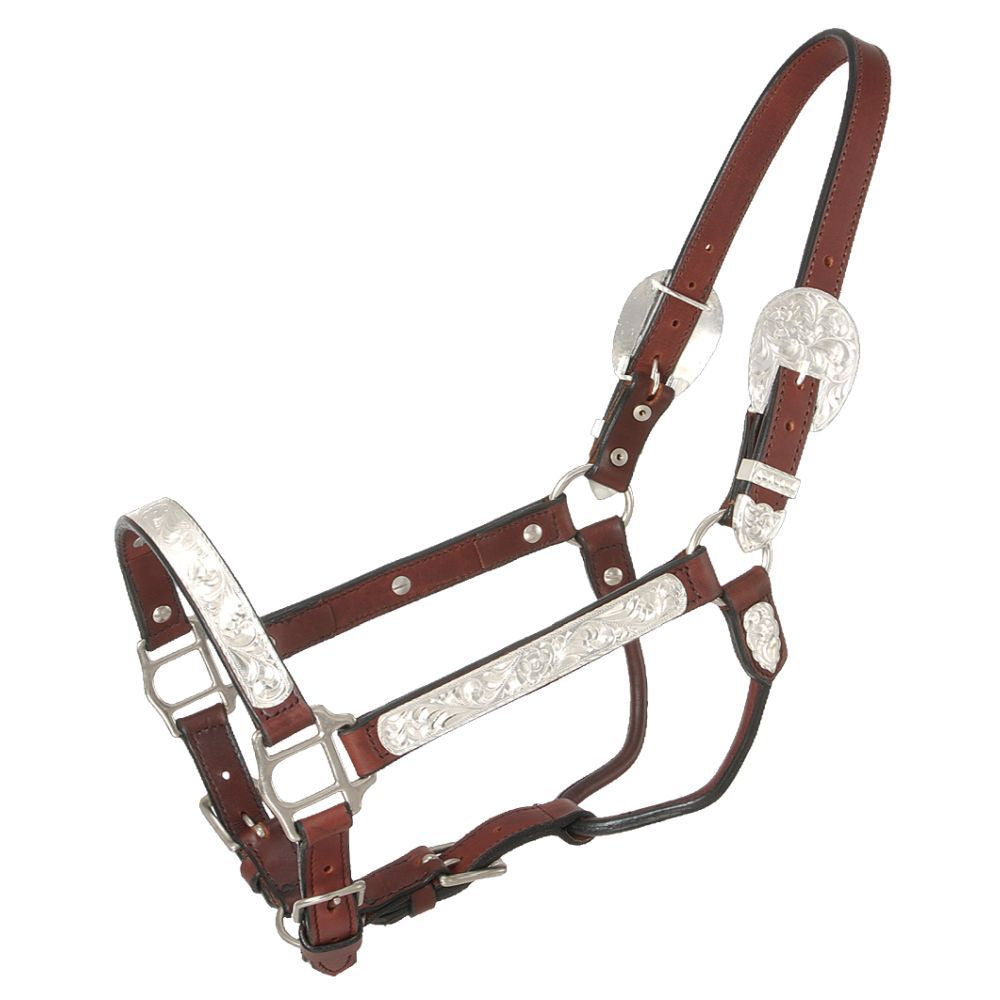 SILVER ROYAL DARK OIL PREMIUM LEATHER SHOW HALTER