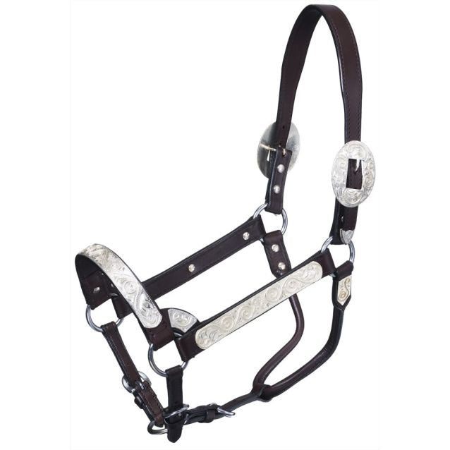 SILVER ROYAL DARK OIL SHOW HALTER- HORSE