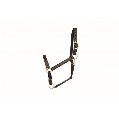 WESTERN RAWHIDE LEATHER HALTER