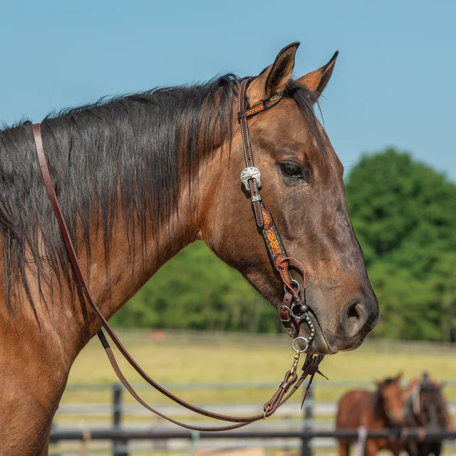 TURQUOISE BUCKSTITCH SLIDING EAR HEADSTALL