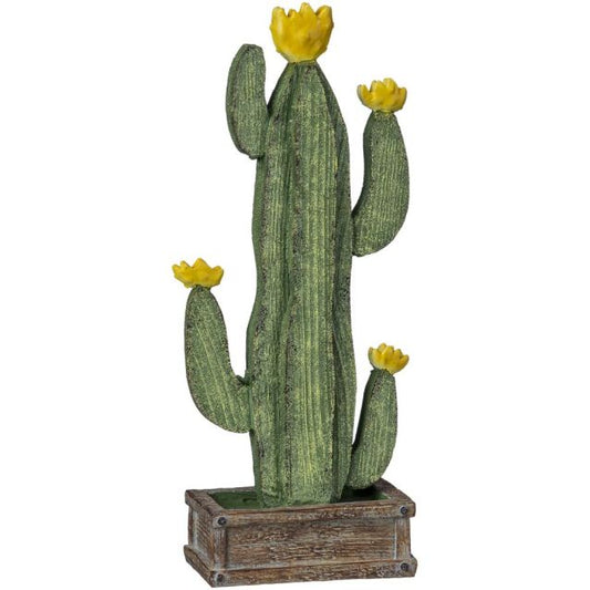 TABLETOP CACTUS
