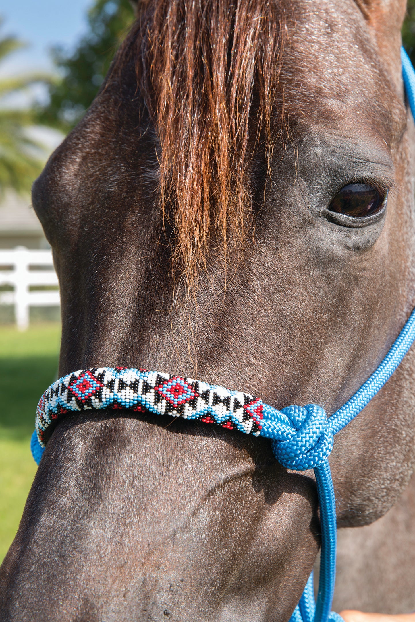 PROFESSIONAL'S CHOICE BEADED ROPE HALTER