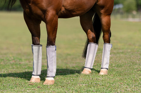 PROFESSIONALS CHOICE DELUXE FLY BOOTS
