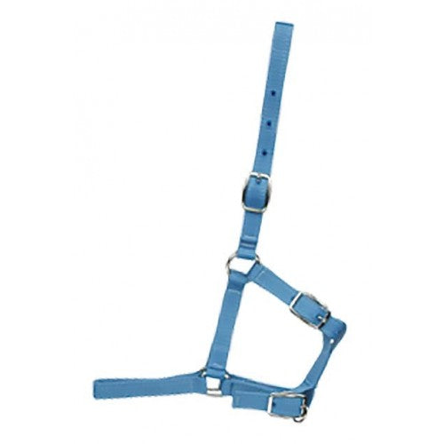 FOAL HALTER