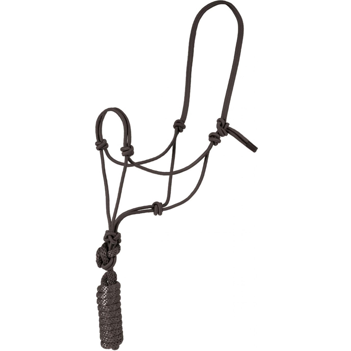 MUSTANG ECONOMY MOUNTAIN ROPE HALTER WITH LEAD