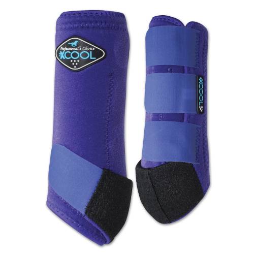 PROFESSIONALS CHOICE 2XCOOL SMB - 2 PACK